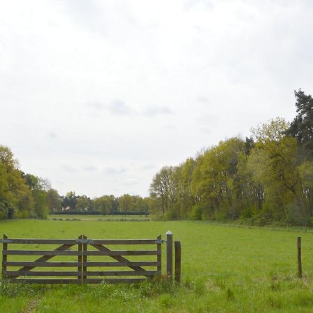 Lovely Holiday Home In Limburg Amid Lush Forest Stramproy Buitenkant foto