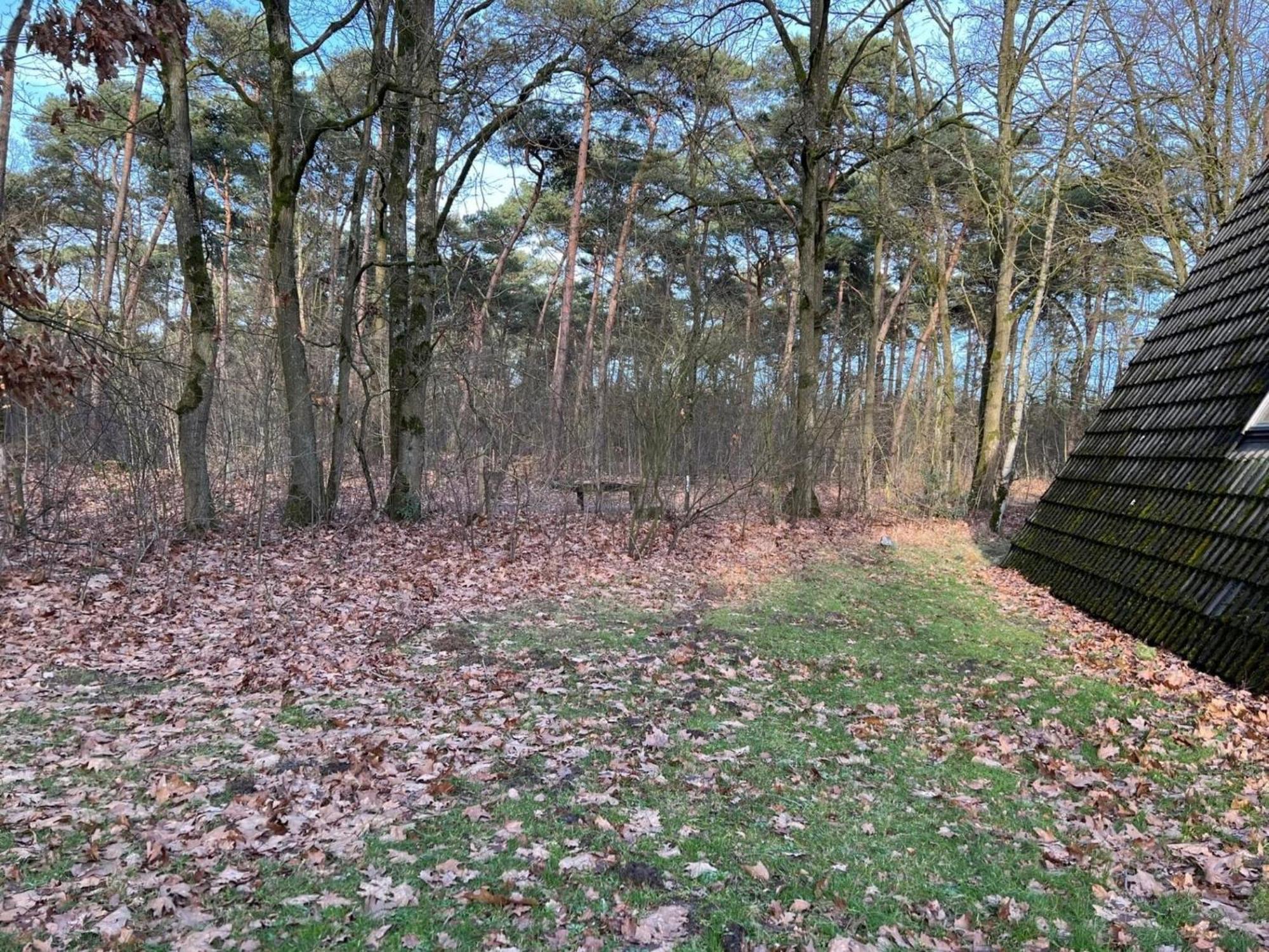 Lovely Holiday Home In Limburg Amid Lush Forest Stramproy Buitenkant foto