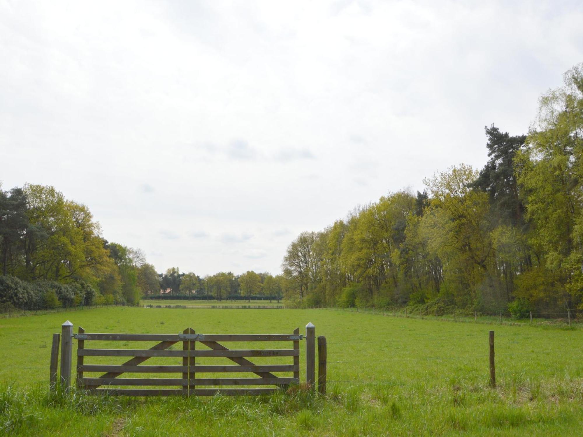 Lovely Holiday Home In Limburg Amid Lush Forest Stramproy Buitenkant foto